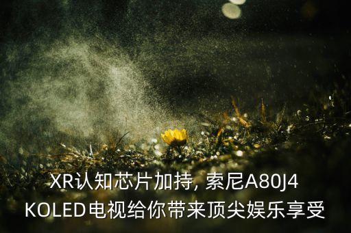 XR認知芯片加持, 索尼A80J4KOLED電視給你帶來頂尖娛樂享受