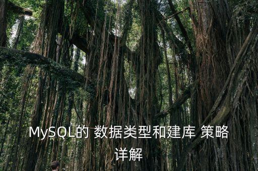MySQL的 數(shù)據(jù)類(lèi)型和建庫(kù) 策略詳解