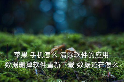 蘋果4手機(jī)清除應(yīng)用數(shù)據(jù),蘋果手機(jī)清除app數(shù)據(jù)