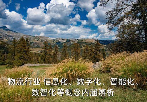 物流行業(yè) 信息化、數(shù)字化、智能化、數(shù)智化等概念內(nèi)涵辨析
