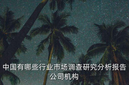 中國有哪些行業(yè)市場調(diào)查研究分析報告公司機構(gòu)