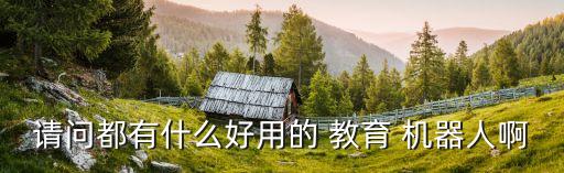 請問都有什么好用的 教育 機器人啊