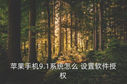 蘋果手機(jī)9.1系統(tǒng)怎么 設(shè)置軟件授權(quán)