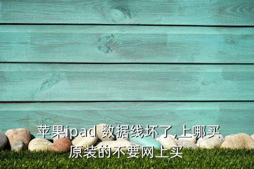  蘋果ipad 數(shù)據(jù)線壞了,上哪買原裝的不要網(wǎng)上買
