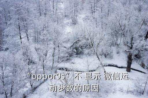 “oppor9s”不 顯示 微信運(yùn)動(dòng)步數(shù)的原因