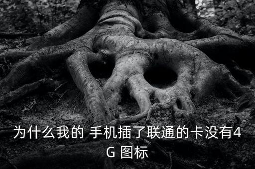 為什么我的 手機(jī)插了聯(lián)通的卡沒(méi)有4G 圖標(biāo)