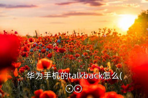  華為手機的talkback怎么(⊙⊙
