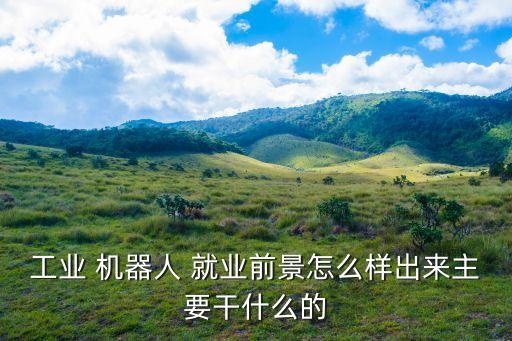 機(jī)器人時代中國就業(yè),自動化機(jī)器人方向就業(yè)