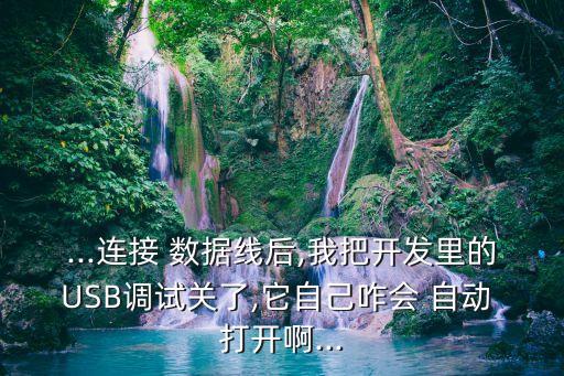...連接 數(shù)據(jù)線后,我把開發(fā)里的USB調(diào)試關了,它自己咋會 自動 打開啊...
