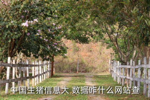 中國(guó)生豬信息大 數(shù)據(jù)咋什么網(wǎng)站查