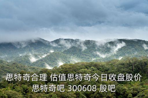 思特奇合理 估值思特奇今日收盤股價(jià)思特奇吧 300608 股吧