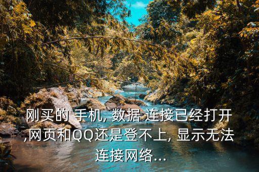 剛買的 手機(jī), 數(shù)據(jù) 連接已經(jīng)打開,網(wǎng)頁和QQ還是登不上, 顯示無法 連接網(wǎng)絡(luò)...