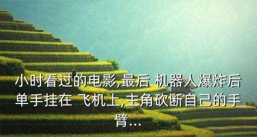 從飛機(jī)上往下扔機(jī)器人