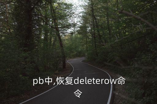  pb中,恢復deleterow命令