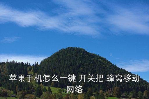 蘋果手機(jī)怎么一鍵 開關(guān)把 蜂窩移動(dòng)網(wǎng)絡(luò)