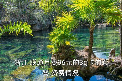  浙江 聯(lián)通月費96元的3g卡的套餐.資費情況
