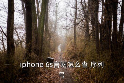 蘋果6s國(guó)行數(shù)據(jù)線序列號(hào)在哪