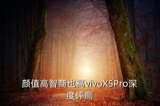 vivox5評(píng)價(jià)數(shù)據(jù)