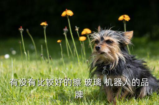 擦戶外玻璃機(jī)器人,擦窗玻璃機(jī)器人哪個(gè)品牌的好?