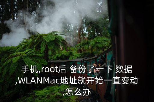 手機,root后 備份了一下 數(shù)據(jù),WLANMac地址就開始一直變動,怎么辦