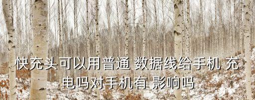 快充頭可以用普通 數(shù)據(jù)線給手機(jī) 充電嗎對(duì)手機(jī)有 影響嗎