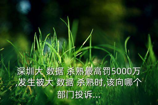 大數(shù)據(jù)殺熟 怎么處理