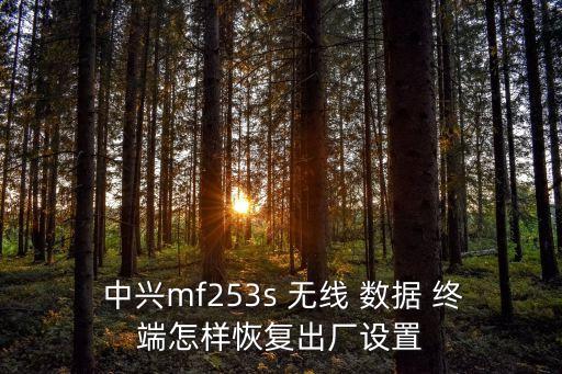  中興mf253s 無線 數(shù)據(jù) 終端怎樣恢復(fù)出廠設(shè)置