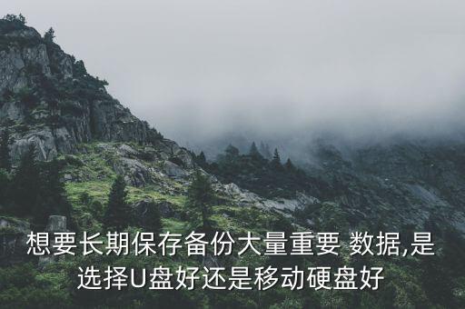數(shù)據(jù)長時間儲存,數(shù)據(jù)儲存單位從小到大