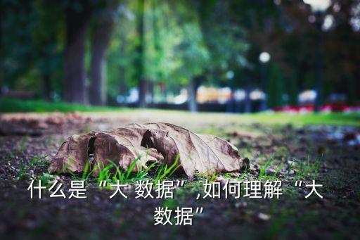 什么是“大 數(shù)據(jù)”,如何理解“大 數(shù)據(jù)”