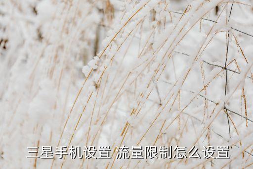三星禁用移動(dòng)數(shù)據(jù)流量,oppo手機(jī)如何禁用移動(dòng)流量