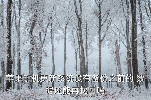ios升級(jí)失敗數(shù)據(jù)還在嗎,安卓轉(zhuǎn)ios游戲數(shù)據(jù)還在嗎