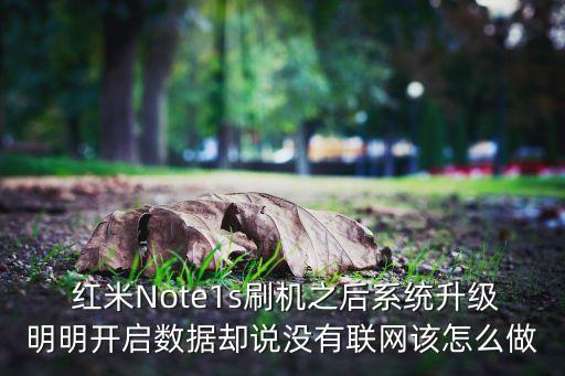 紅米note1s數(shù)據(jù)連接關(guān)閉卡住