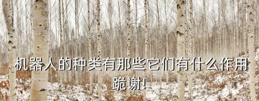 類是人機器人報價,發(fā)那科機器人報價