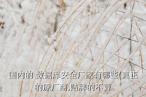 鼎甲數(shù)據(jù)脫敏一體機
