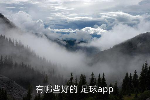 足球大數(shù)據(jù)與博彩,足球必發(fā)數(shù)據(jù)的app
