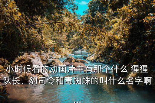 小時候看的動畫片中有那個什么 猩猩隊長、豹司令和毒蜘蛛的叫什么名字啊...