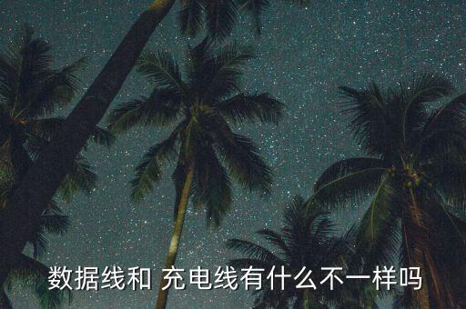  數(shù)據(jù)線和 充電線有什么不一樣嗎