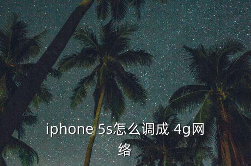 蘋果5s移動數(shù)據(jù)怎么開啟4g