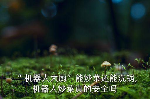 做飯機器人的介紹,人工智能做飯機器人