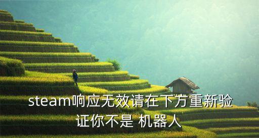  steam響應(yīng)無(wú)效請(qǐng)?jiān)谙路街匦买?yàn)證你不是 機(jī)器人