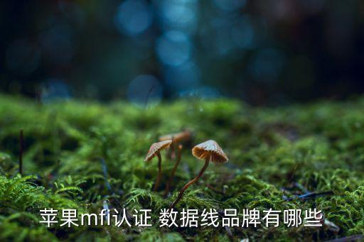 蘋果mfi認證 數(shù)據(jù)線品牌有哪些