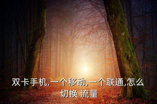 雙卡手機(jī),一個(gè)移動(dòng),一個(gè)聯(lián)通,怎么 切換 流量