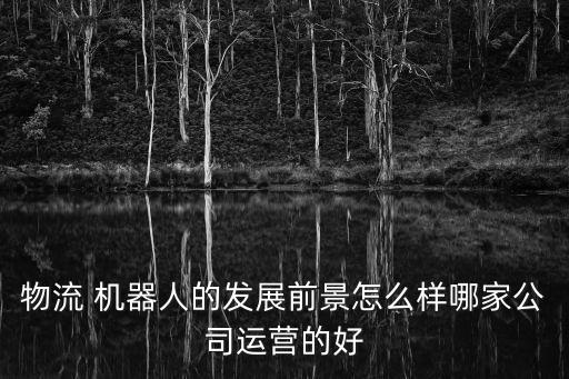 物流 機(jī)器人的發(fā)展前景怎么樣哪家公司運(yùn)營的好