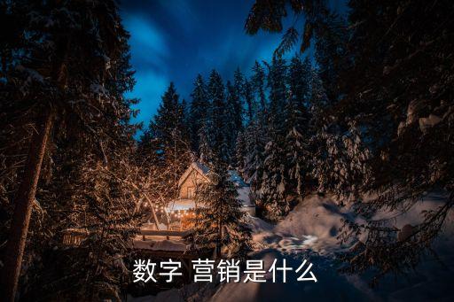 數(shù)字 營銷是什么