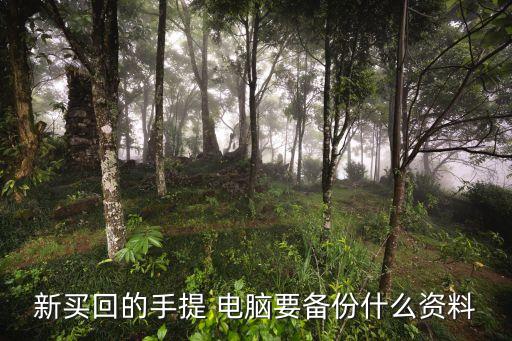 新買回的手提 電腦要備份什么資料