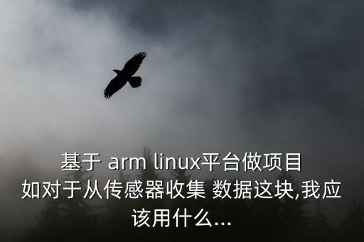 基于 arm linux平臺做項目如對于從傳感器收集 數(shù)據(jù)這塊,我應(yīng)該用什么...