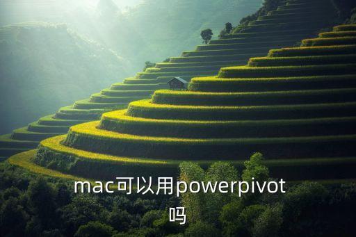 mac 數(shù)據(jù)透視圖,數(shù)據(jù)透視圖excel教程