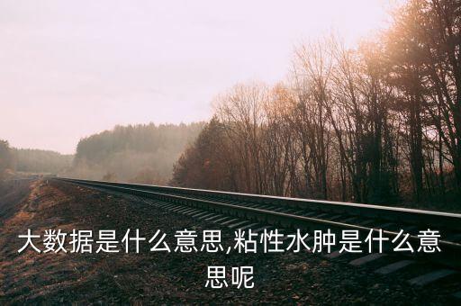粘性大數(shù)據(jù)是什么意思,粘性水腫是什么意思呢?