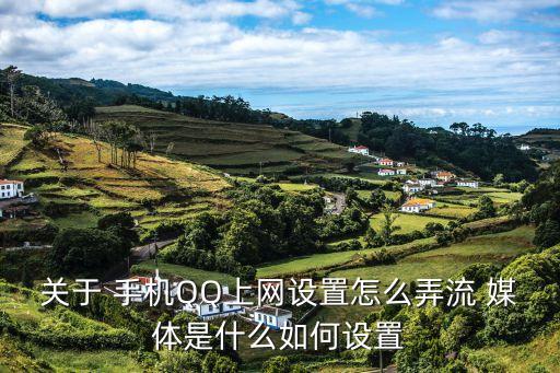 關(guān)于 手機(jī)QQ上網(wǎng)設(shè)置怎么弄流 媒體是什么如何設(shè)置