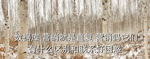 大佬眼中的數(shù)據(jù)庫(kù)營(yíng)銷